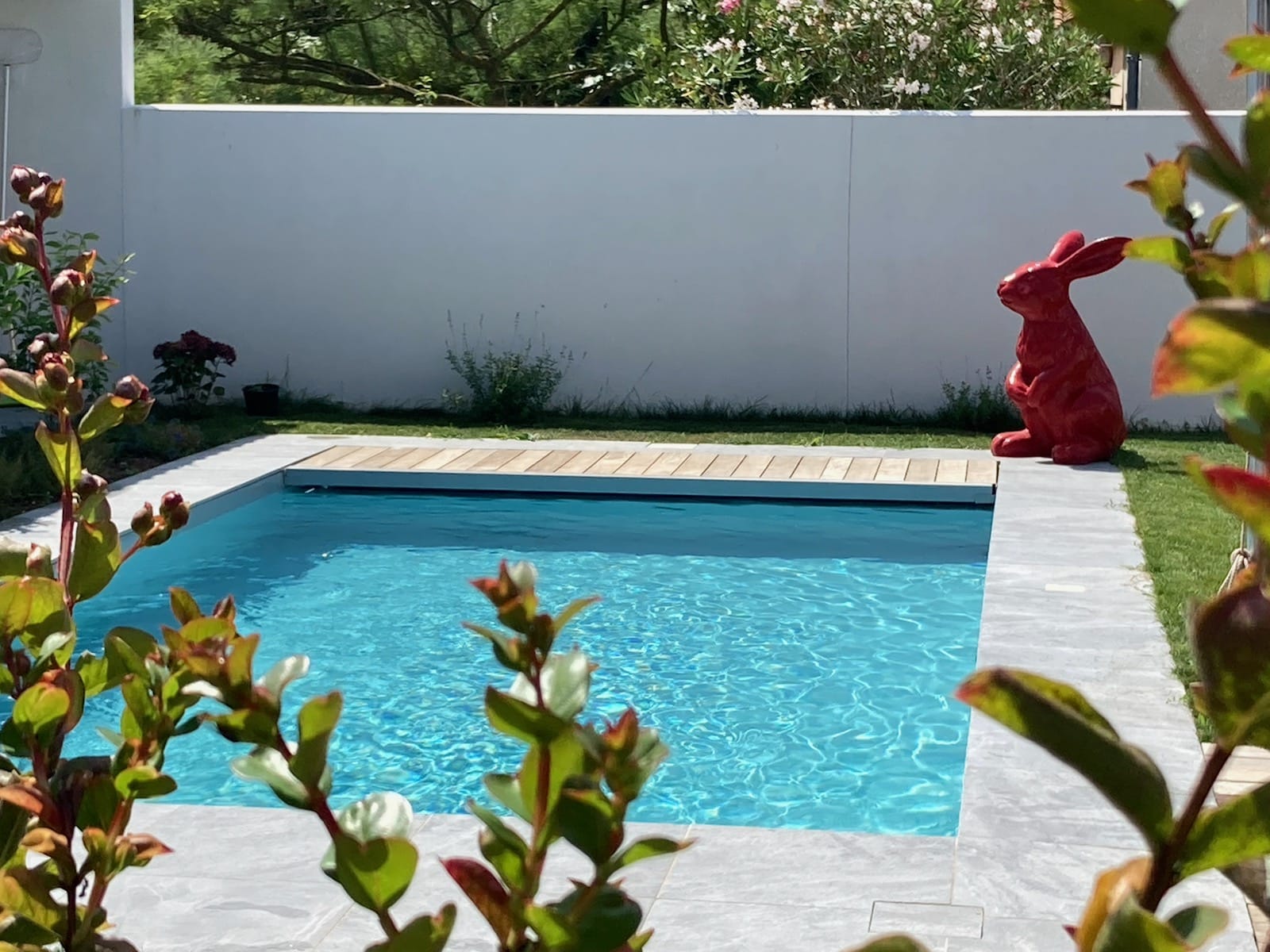 piscine avec eau cristalline et lapin rouge