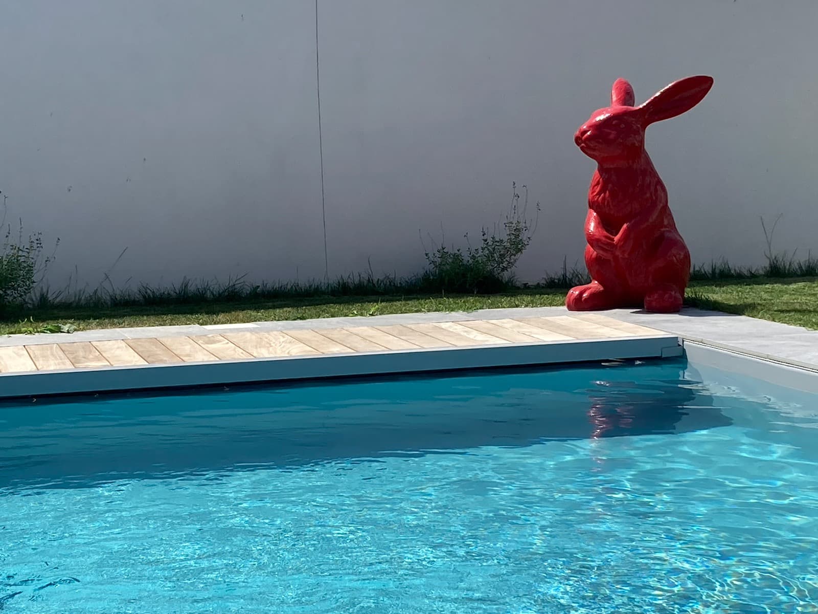 piscine avec lapin rouge oleron